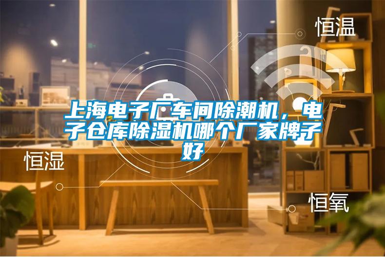 上海電子廠車間除潮機，電子倉庫除濕機哪個廠家牌子好