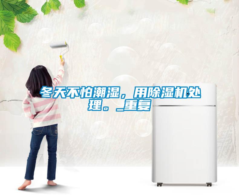 冬天不怕潮濕，用除濕機處理。_重復