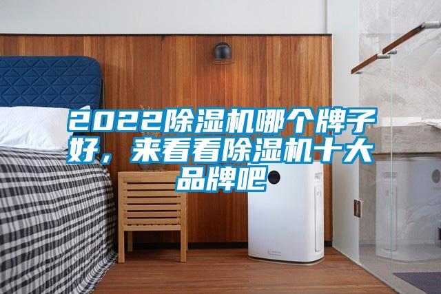 2022除濕機哪個牌子好，來看看除濕機十大品牌吧