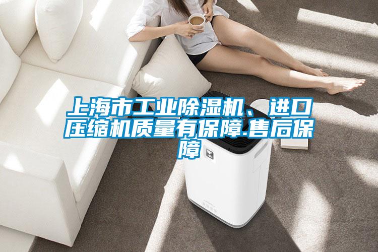 上海市工業除濕機、進口壓縮機質量有保障.售后保障