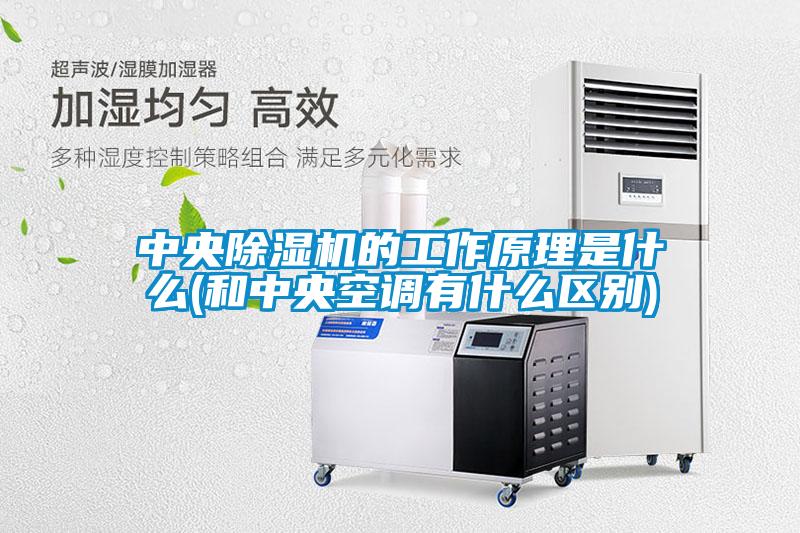 中央除濕機的工作原理是什么(和中央空調有什么區別)