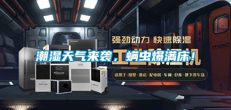 潮濕天氣來襲，螨蟲爆滿床！