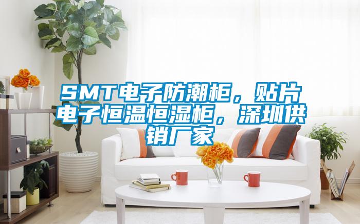 SMT電子防潮柜，貼片電子恒溫恒濕柜，深圳供銷廠家