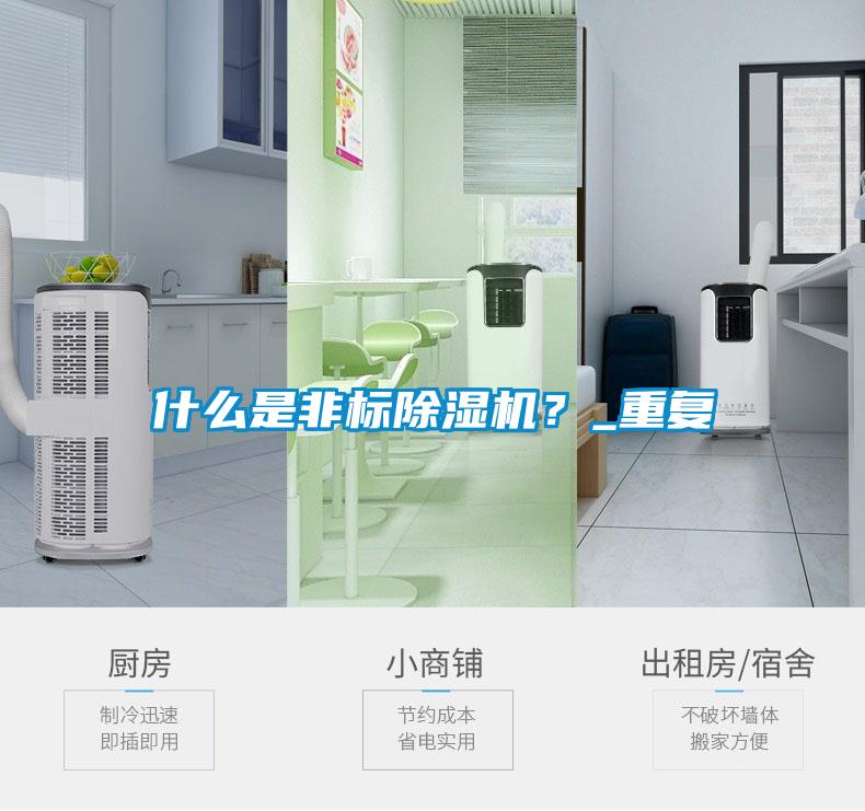 什么是非標除濕機？_重復