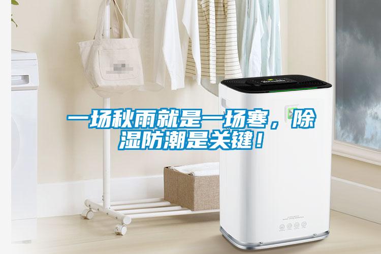 一場秋雨就是一場寒，除濕防潮是關鍵！