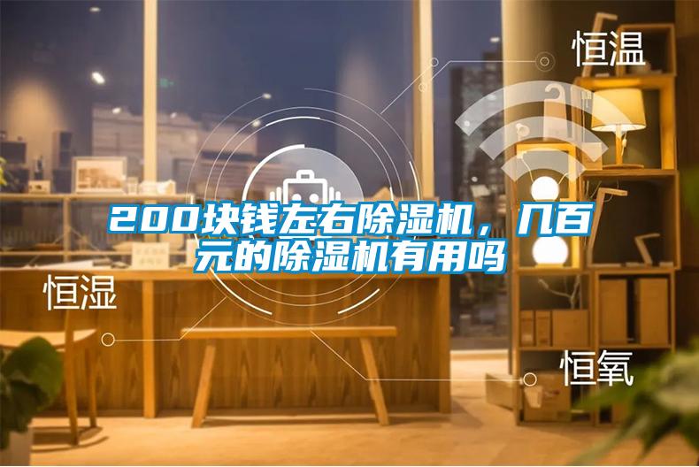 200塊錢左右除濕機，幾百元的除濕機有用嗎