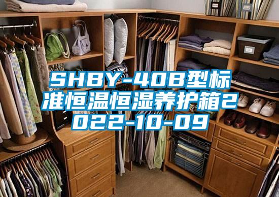 SHBY-40B型標準恒溫恒濕養護箱2022-10-09