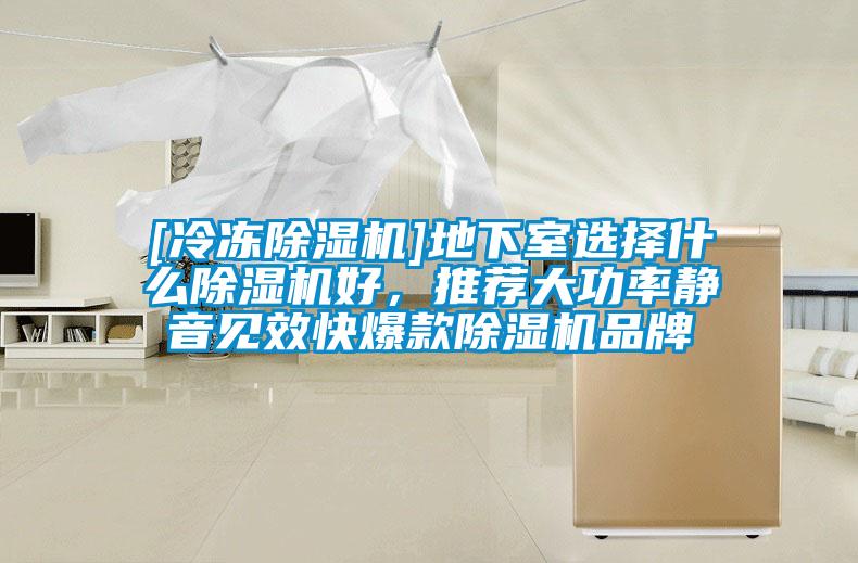 [冷凍除濕機]地下室選擇什么除濕機好，推薦大功率靜音見效快爆款除濕機品牌