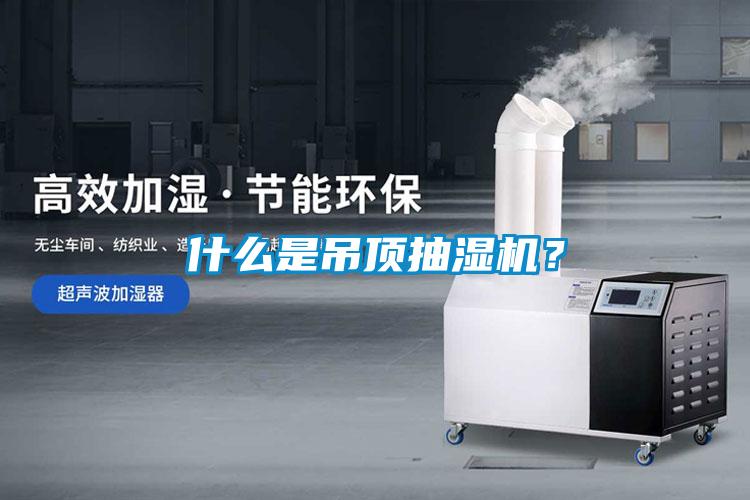 什么是吊頂抽濕機？