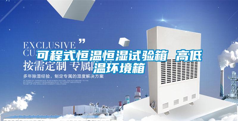 可程式恒溫恒濕試驗箱 高低溫環境箱