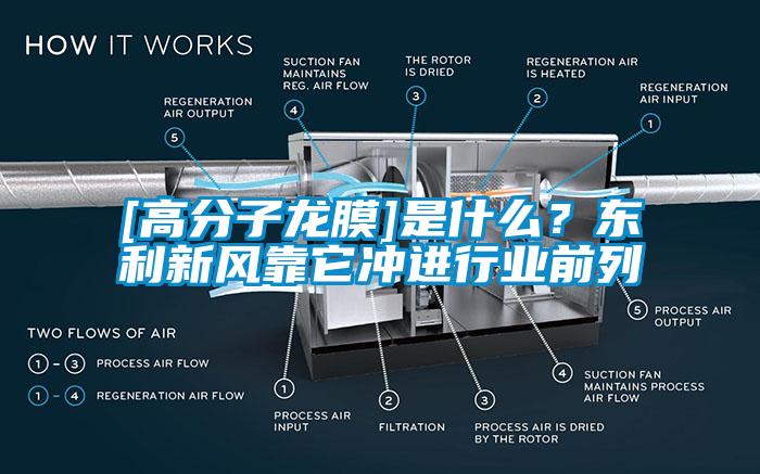 [高分子龍膜]是什么？東利新風靠它沖進行業前列