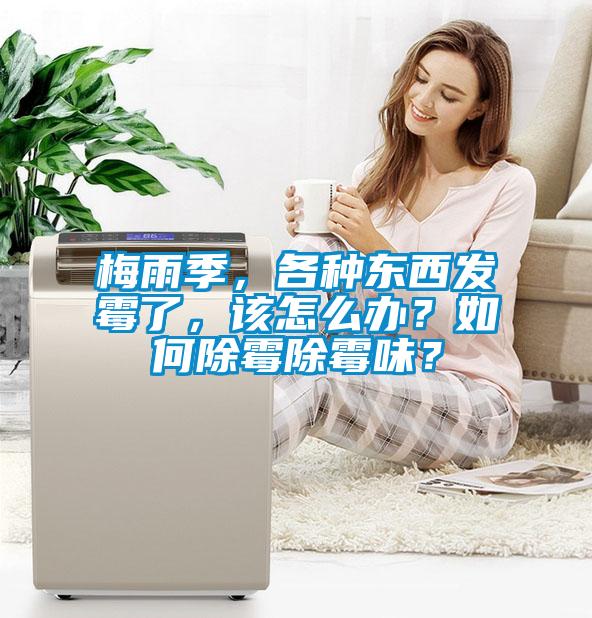 梅雨季，各種東西發霉了，該怎么辦？如何除霉除霉味？