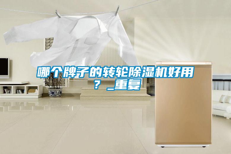 哪個牌子的轉輪除濕機好用？_重復