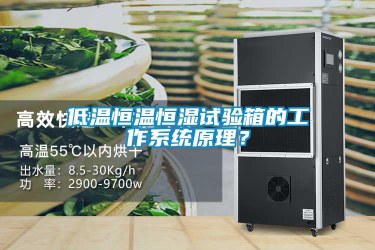 低溫恒溫恒濕試驗箱的工作系統原理？