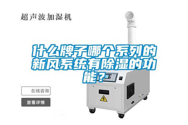 什么牌子哪個系列的新風系統有除濕的功能？