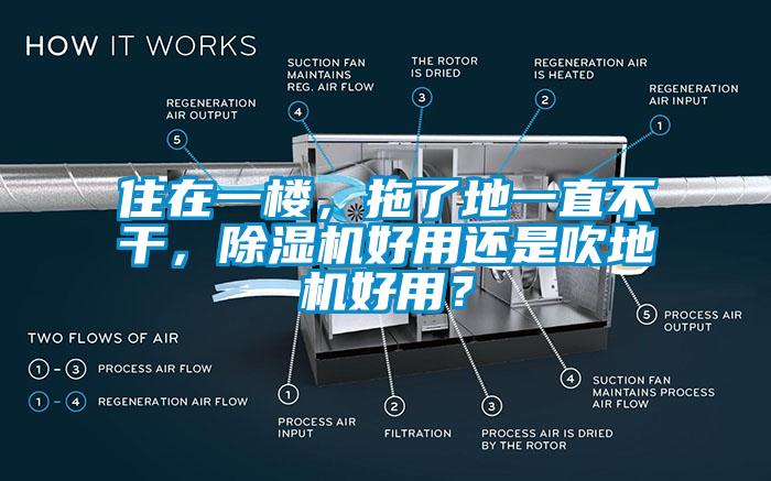 住在一樓，拖了地一直不干，除濕機好用還是吹地機好用？