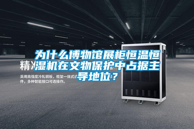 為什么博物館展柜恒溫恒濕機在文物保護中占據主導地位？