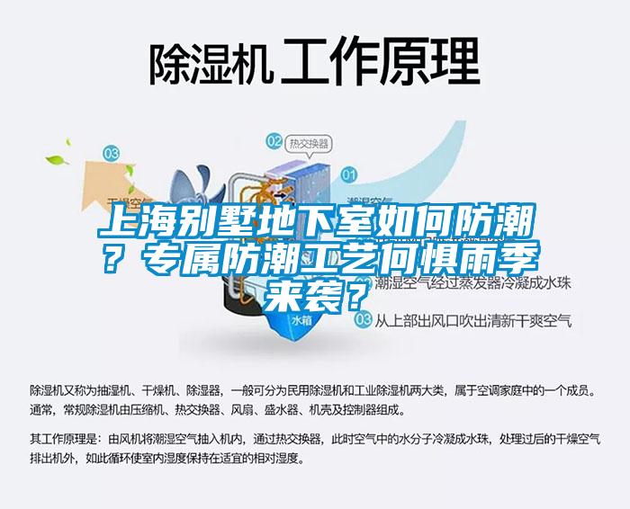 上海別墅地下室如何防潮？專屬防潮工藝何懼雨季來襲？