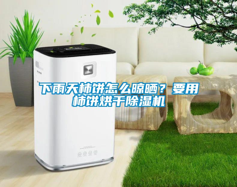 下雨天柿餅怎么晾曬？要用柿餅烘干除濕機