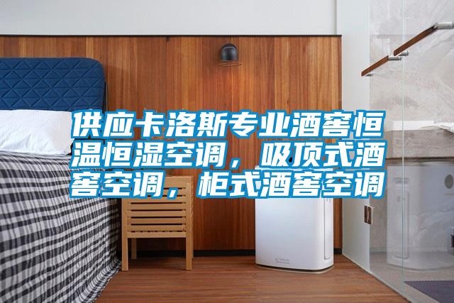 供應卡洛斯專業酒窖恒溫恒濕空調，吸頂式酒窖空調，柜式酒窖空調
