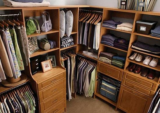 潮濕悶熱謹，當心蛇出沒