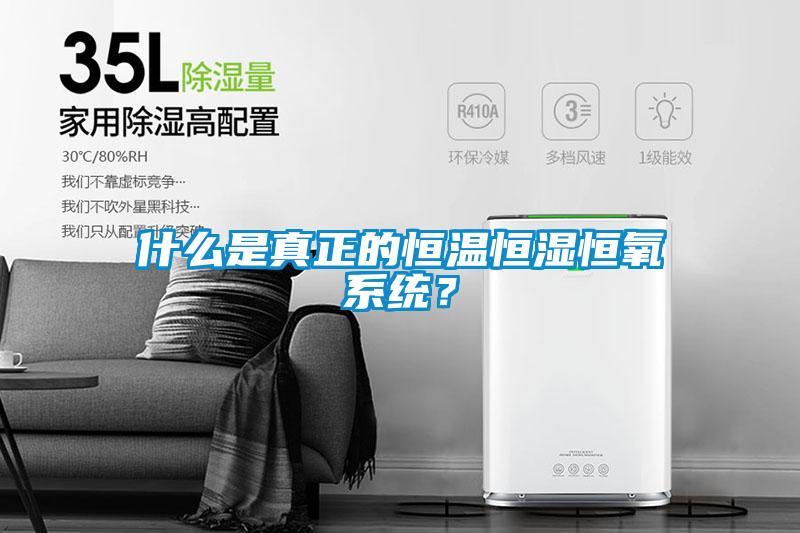 什么是真正的恒溫恒濕恒氧系統？