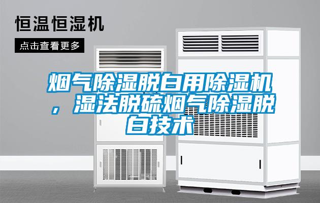 煙氣除濕脫白用除濕機，濕法脫硫煙氣除濕脫白技術