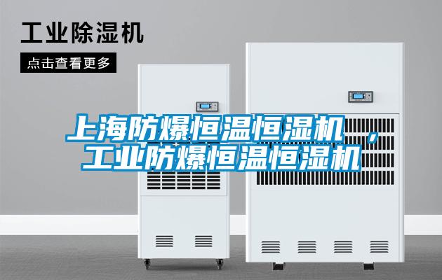 上海防爆恒溫恒濕機 ，工業防爆恒溫恒濕機