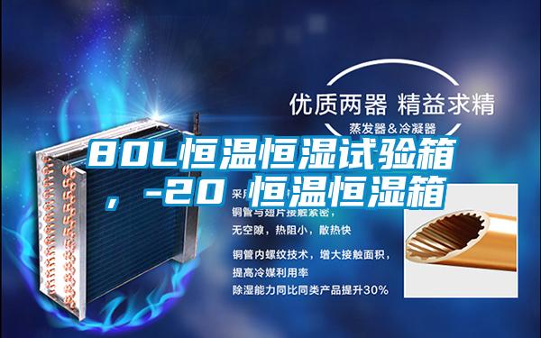80L恒溫恒濕試驗箱，-20℃恒溫恒濕箱