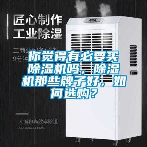 你覺得有必要買除濕機嗎，除濕機那些牌子好，如何選購？