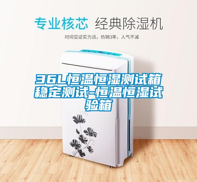 36L恒溫恒濕測試箱穩定測試-恒溫恒濕試驗箱
