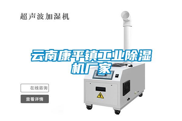 云南康平鎮工業除濕機廠家