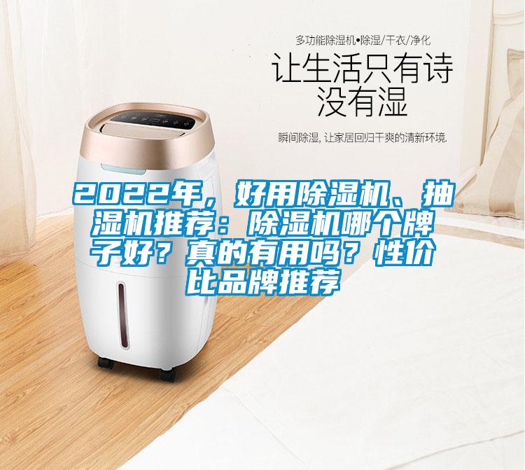 2022年，好用除濕機、抽濕機推薦：除濕機哪個牌子好？真的有用嗎？性價比品牌推薦