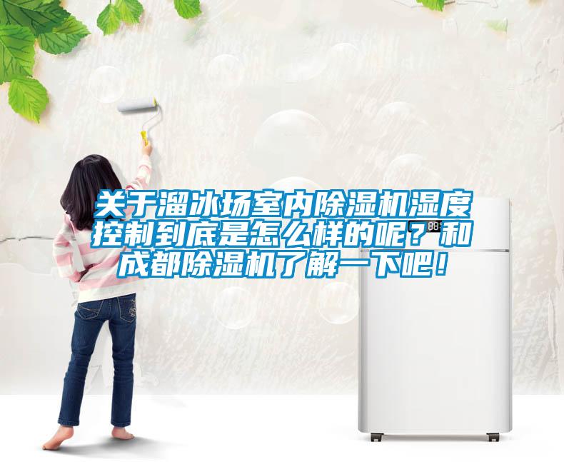 關于溜冰場室內除濕機濕度控制到底是怎么樣的呢？和成都除濕機了解一下吧！