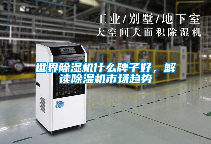 世界除濕機什么牌子好，解讀除濕機市場趨勢