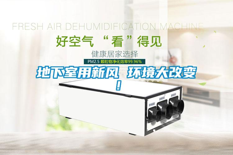 地下室用新風 環境大改變！