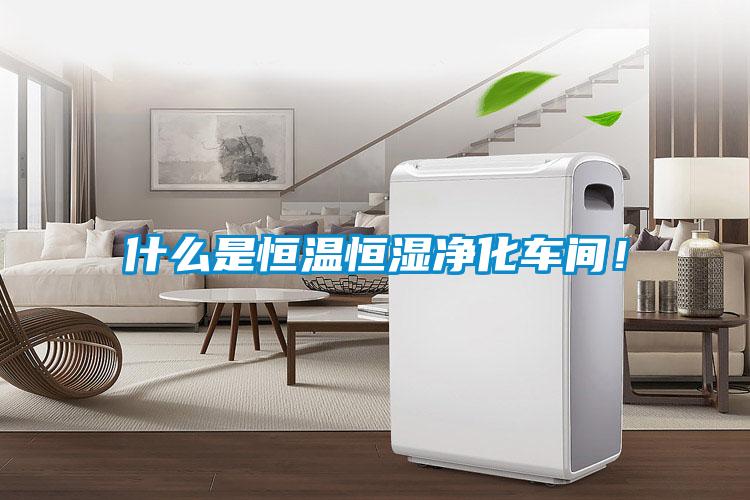 什么是恒溫恒濕凈化車間！