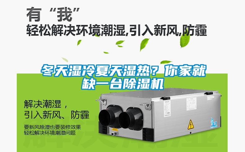 冬天濕冷夏天濕熱？你家就缺一臺除濕機