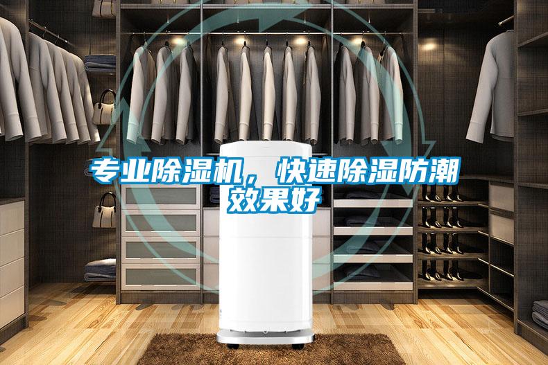 專業除濕機，快速除濕防潮效果好