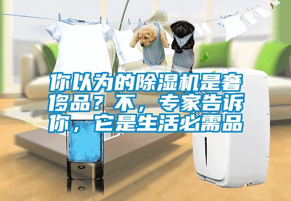 你以為的除濕機是奢侈品？不，專家告訴你，它是生活必需品