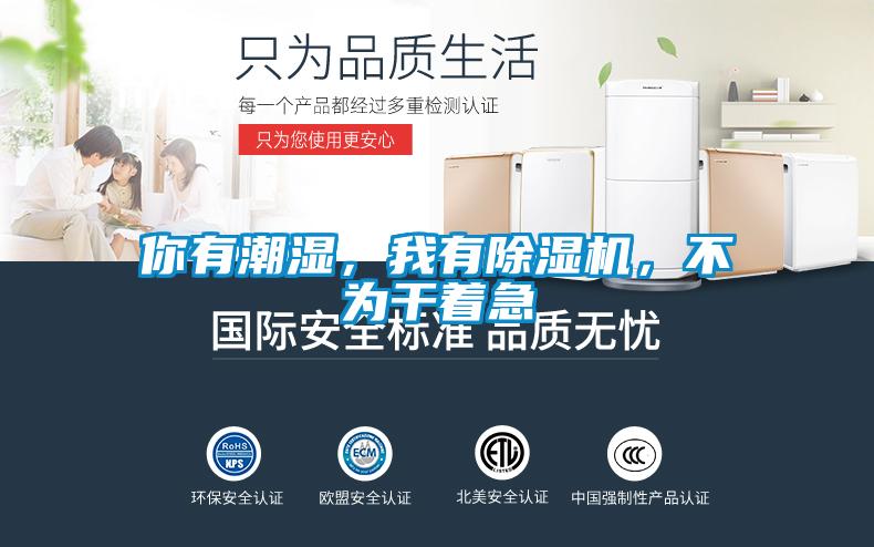你有潮濕，我有除濕機，不為干著急