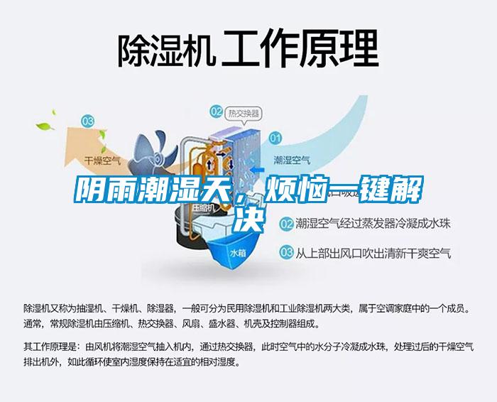陰雨潮濕天，煩惱一鍵解決