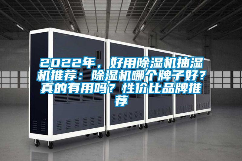 2022年，好用除濕機抽濕機推薦：除濕機哪個牌子好？真的有用嗎？性價比品牌推薦