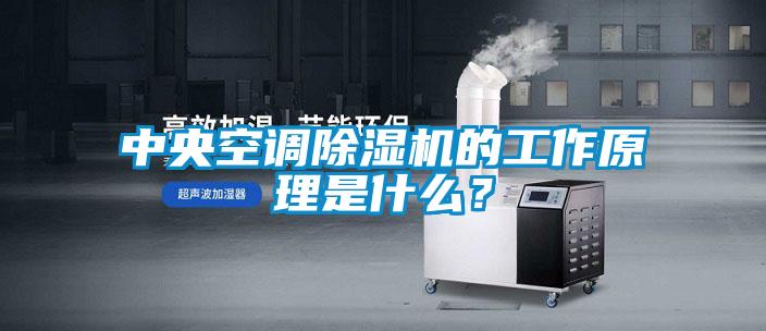 中央空調除濕機的工作原理是什么？