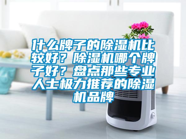 什么牌子的除濕機比較好？除濕機哪個牌子好？盤點那些專業人士極力推薦的除濕機品牌