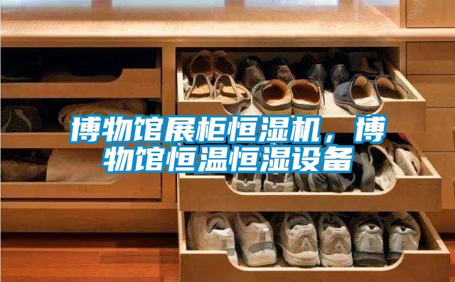 博物館展柜恒濕機，博物館恒溫恒濕設備