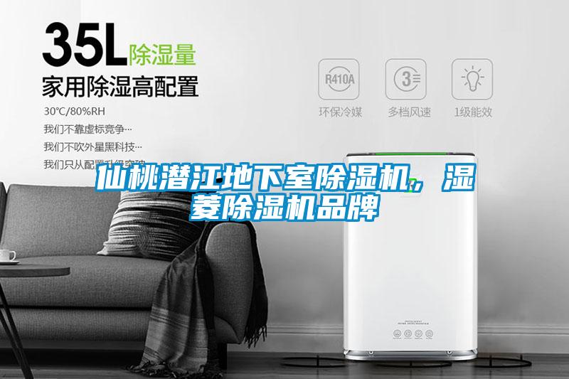 仙桃潛江地下室除濕機，濕菱除濕機品牌