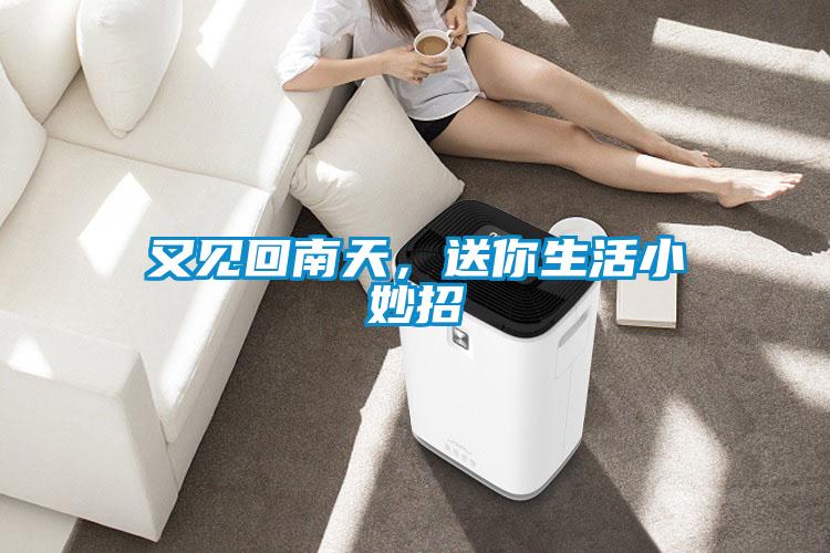 又見回南天，送你生活小妙招