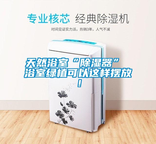 天然浴室“除濕器” 浴室綠植可以這樣擺放！