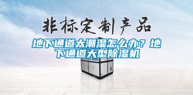 地下通道太潮濕怎么辦？地下通道大型除濕機
